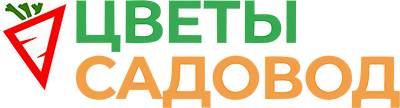 Цветы Садовод Омутнинск – доставка цветов 24/7